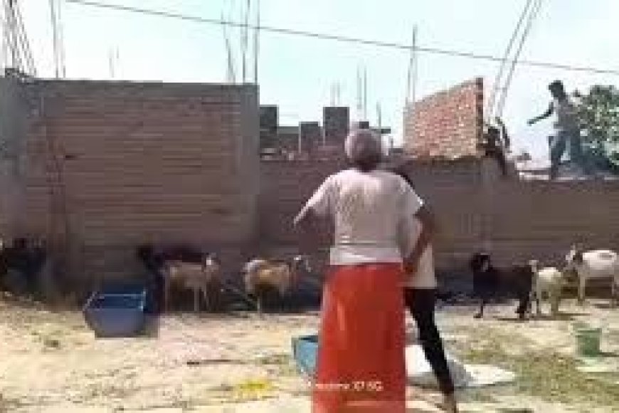 पीथीपुर में मामूली बात पर बवाल, बकरी के पानी पीने को लेकर खूनी संघर्ष