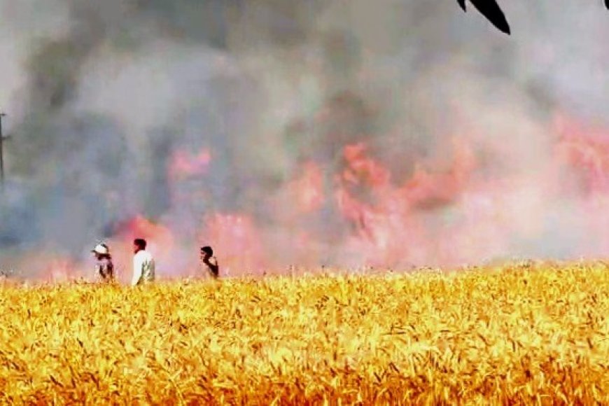 अयोध्या के बीकापुर में भीषण आग, 300 बीघे गेहूं की फसल जलकर राख