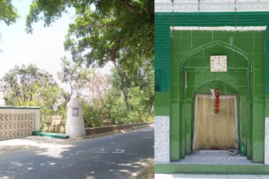 तोते ने ली खूनी गवाही… राजा को बताया हर हत्यारे का नाम, जानिए तोता-मैना की कब्र का अनसुना रहस्य