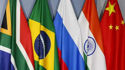 India identifies mental health, lifestyle diseases as new priorities for BRICS. india news