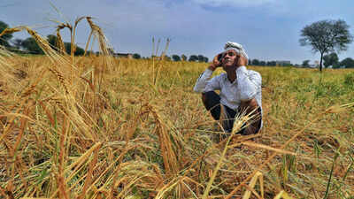 Amid growing threat of El Nino, IMD has predicted ‘below normal’ monsoon rainfall in the country. india news