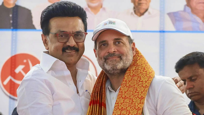 Tamil Nadu elections: Optics deficit: Will lack of Stalin-Rahul ‘brotherhood’ hurt alliance in Tamil Nadu? | india news