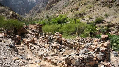 Oman Archaeological Discovery: Oman: What started as road construction reveals 3,000-year-old tombs and rare Iron Age burial rituals | world News