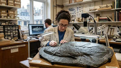 Archaeologists identify a new coelacanth species from a 150-year-old fossil in London. world News