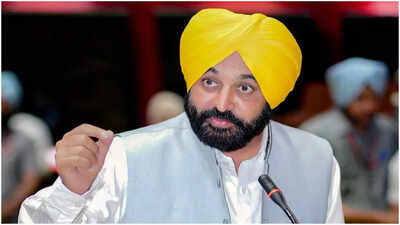 Bhagwant Mann: ‘Fellow MLAs will stay out’: Punjab CM to meet President Murmu on seven AAP Rajya Sabha MPs joining BJP | india news