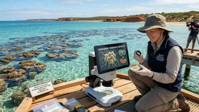 Scientists in Australia have discovered a tiny microbe that may reveal the origins of human life. world News