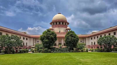 ‘Need for investigation’: Supreme Court seeks response from Centre, ECI on biometric voting petition. india news