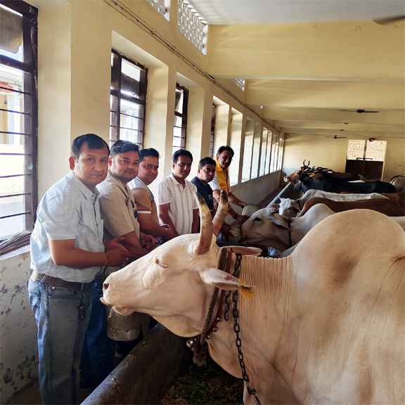 मुज़फ्फरनगर समाचार: भारत विकास परिषद ‘अमेती’ ने गौशाला में भक्ति भाव से आयोजित कार्यक्रम में गौ सेवा के माध्यम से संस्कृति और सेवा का संदेश दिया।