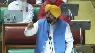 ‘How shameful’: Swati Maliwal accuses Bhagwant Mann of coming to Punjab Assembly ‘intoxicated’ india news
