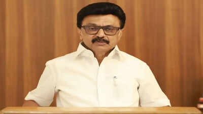 Tamil Nadu decision: Let Vijay form government, we will see, will not bother for 6 months, MK Stalin said. india news