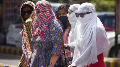 Heat wave warning in many parts of India: Where red, orange and yellow warnings are in force. india news