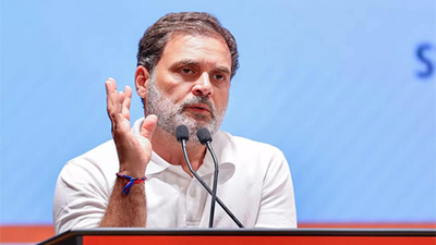 Allahabad HC rejects plea seeking FIR against Rahul Gandhi over ‘fighting the Indian state’ remark. india news