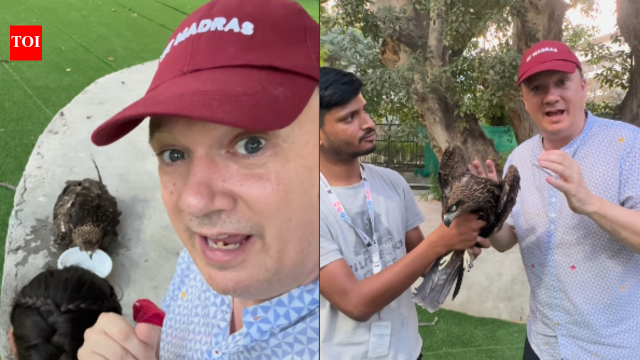 ‘Too hot for them’: British man praised online for saving dehydrated bird amid Delhi heat world News