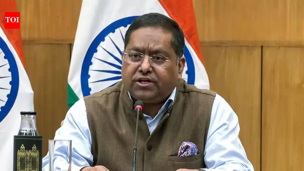 India seeks help from Dhaka to deport illegal Bangladeshis: External Affairs Ministry india news