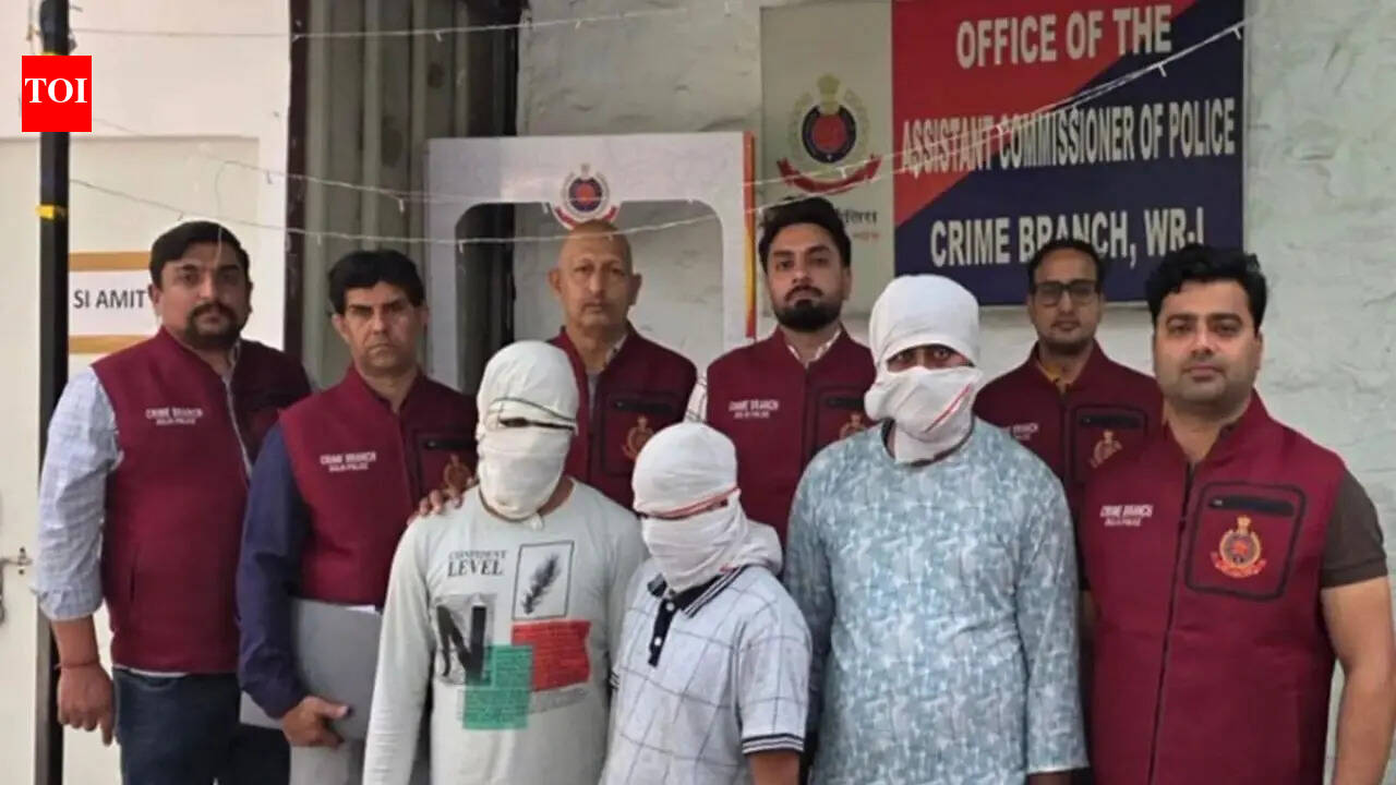 48 hours, 1 thousand teams, 482 arrests: Delhi Police caught suspects linked to criminal gangs in India, Pakistan. delhi news