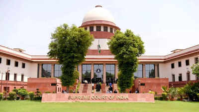 SC acquits man after 22 years in jail, slams Delhi High Court for rejecting delayed appeal | india news