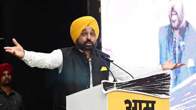 ‘This is Punjab, not afraid of threats’: Bhagwant Mann after ED raid on minister | india news