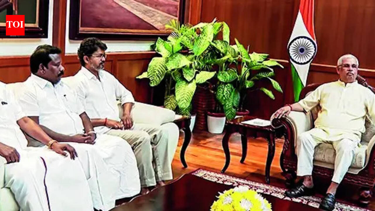 ‘Bid to stop central rule, not recognition of ideology’: VCK will support Vijay government from outside, DMK will remain in the alliance. india news