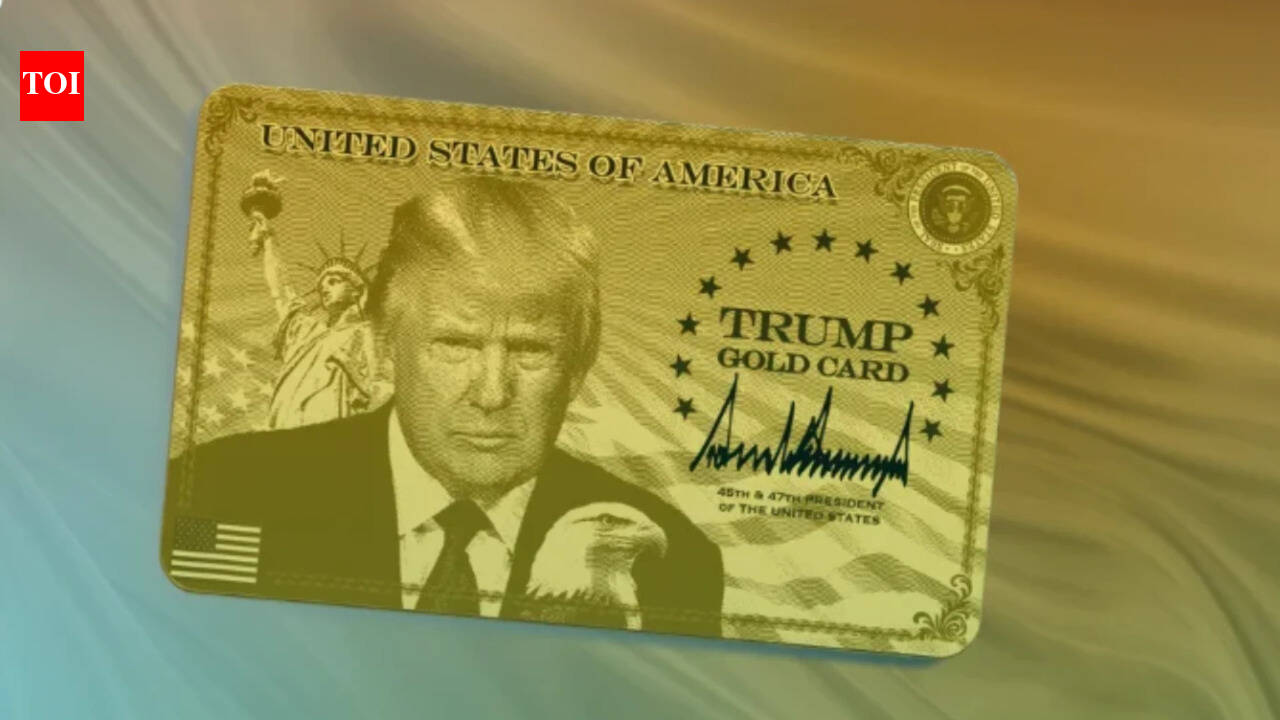 No one is buying Trump’s gold? Immigration lawyers say $1 million visa plan ‘immoral’