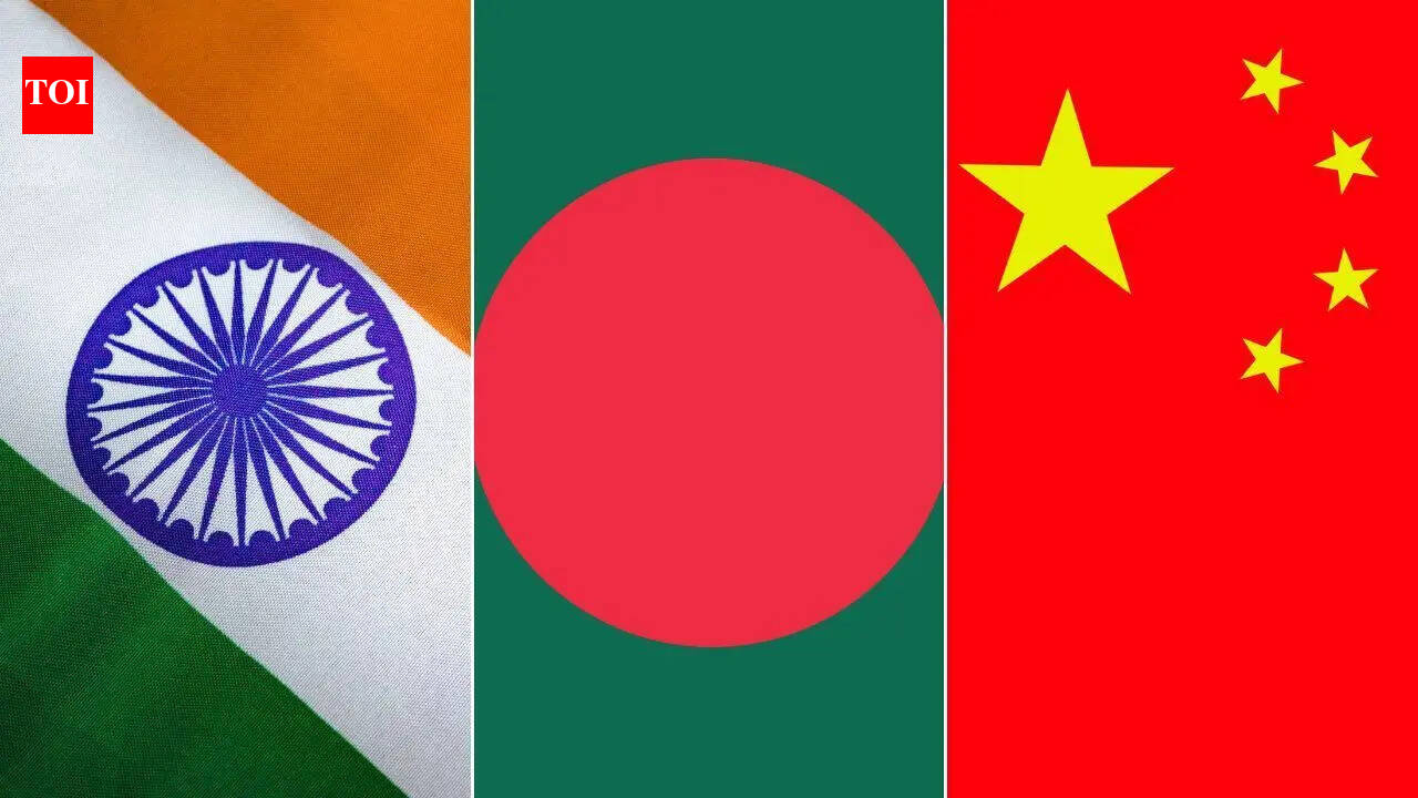 Bangladesh can be referee between India, China, but not football: Tariq Ally