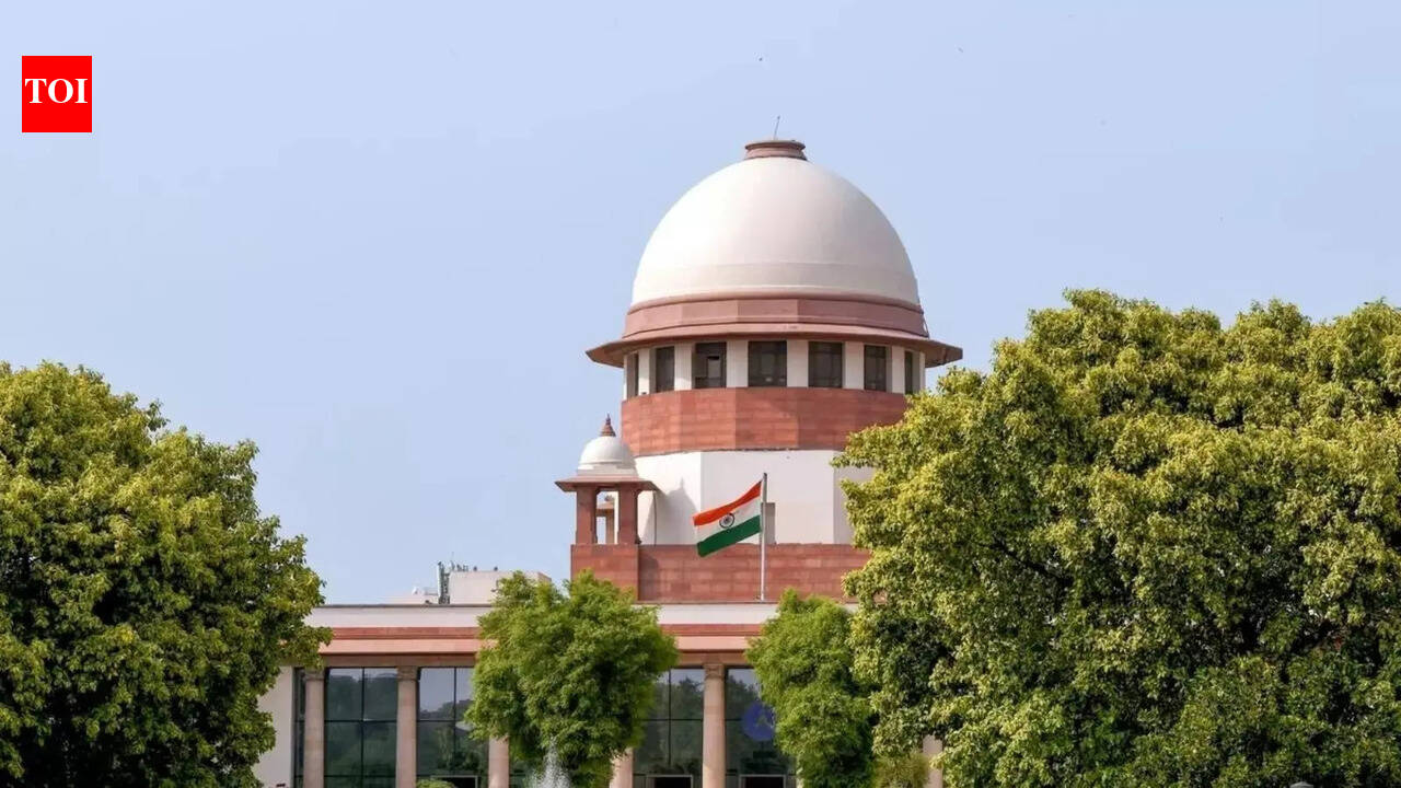 High courts can give relief from notice to speed up bail hearing: Supreme Court india news
