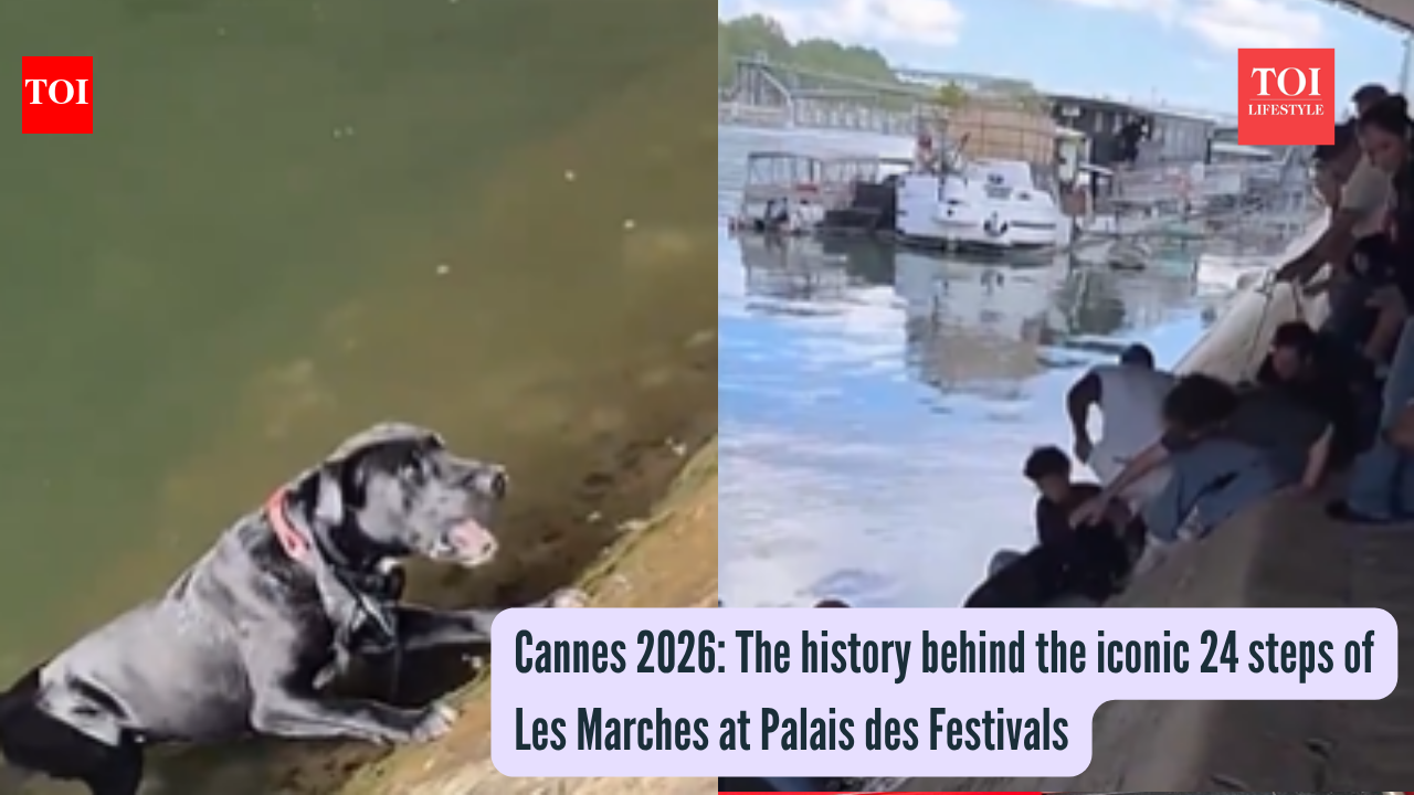 Humanity’s edge: Parisians form human chain to save drowning puppy in River Seine