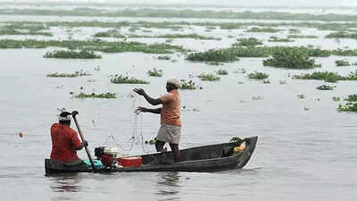 Monsoon may hit Andaman this week: IMD india news