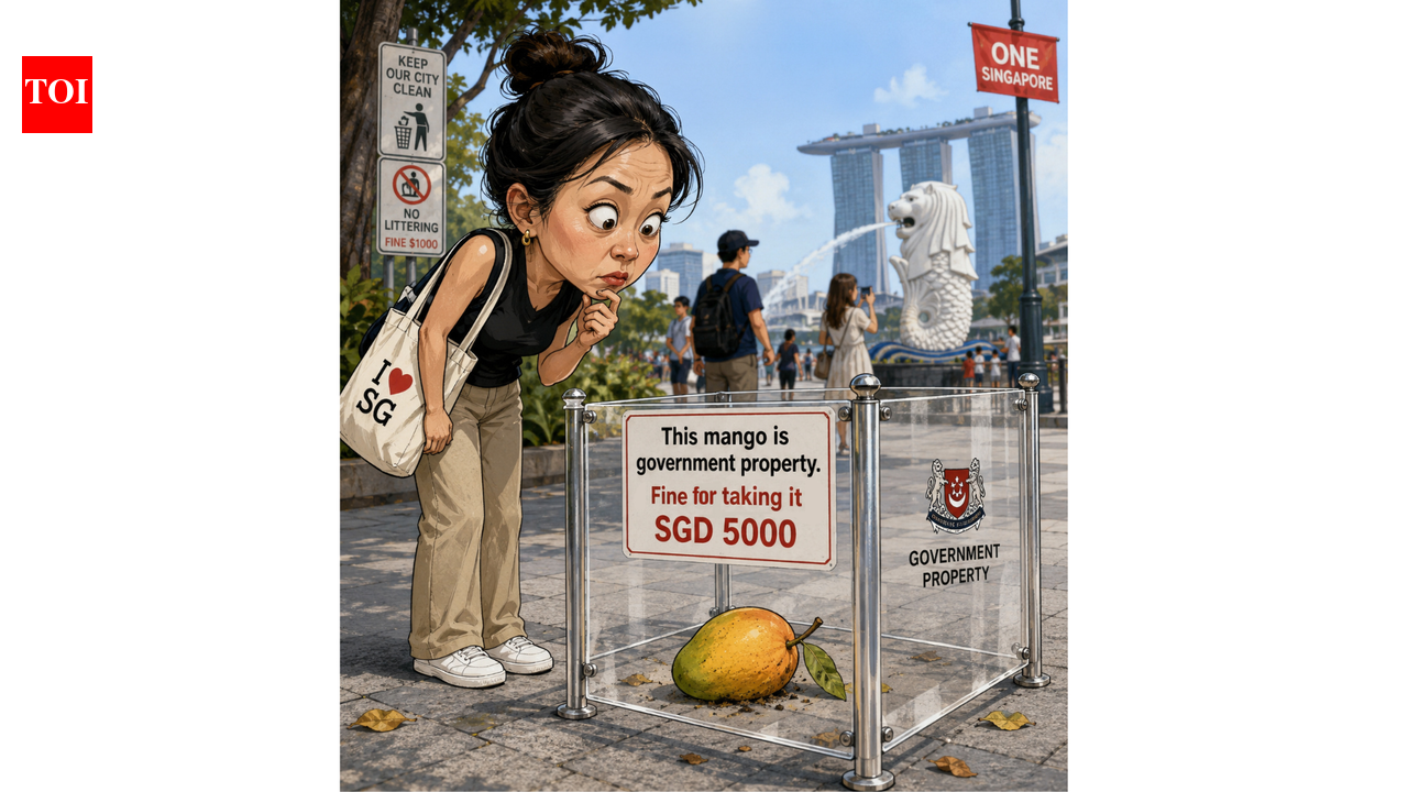 Cost of picking up fallen mango in Singapore: Shocking fine of Rs 3.5 lakh