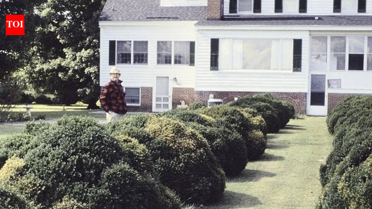 These 5 evergreen shrubs make front entry beds look great all year long.