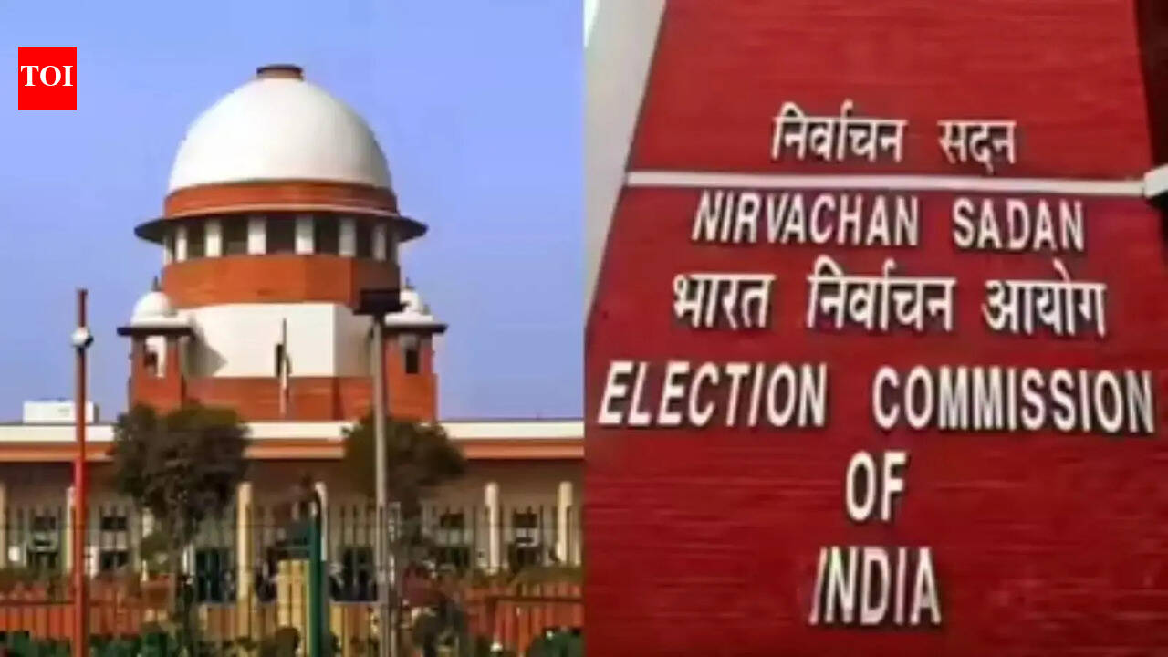 Why this pretense of independence in the appointment of CEC/EC, when it can be decided by the government? Center to SC