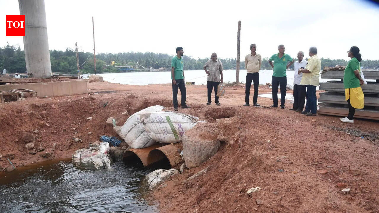 NECF demands immediate intervention from DC on dam on Falguni river