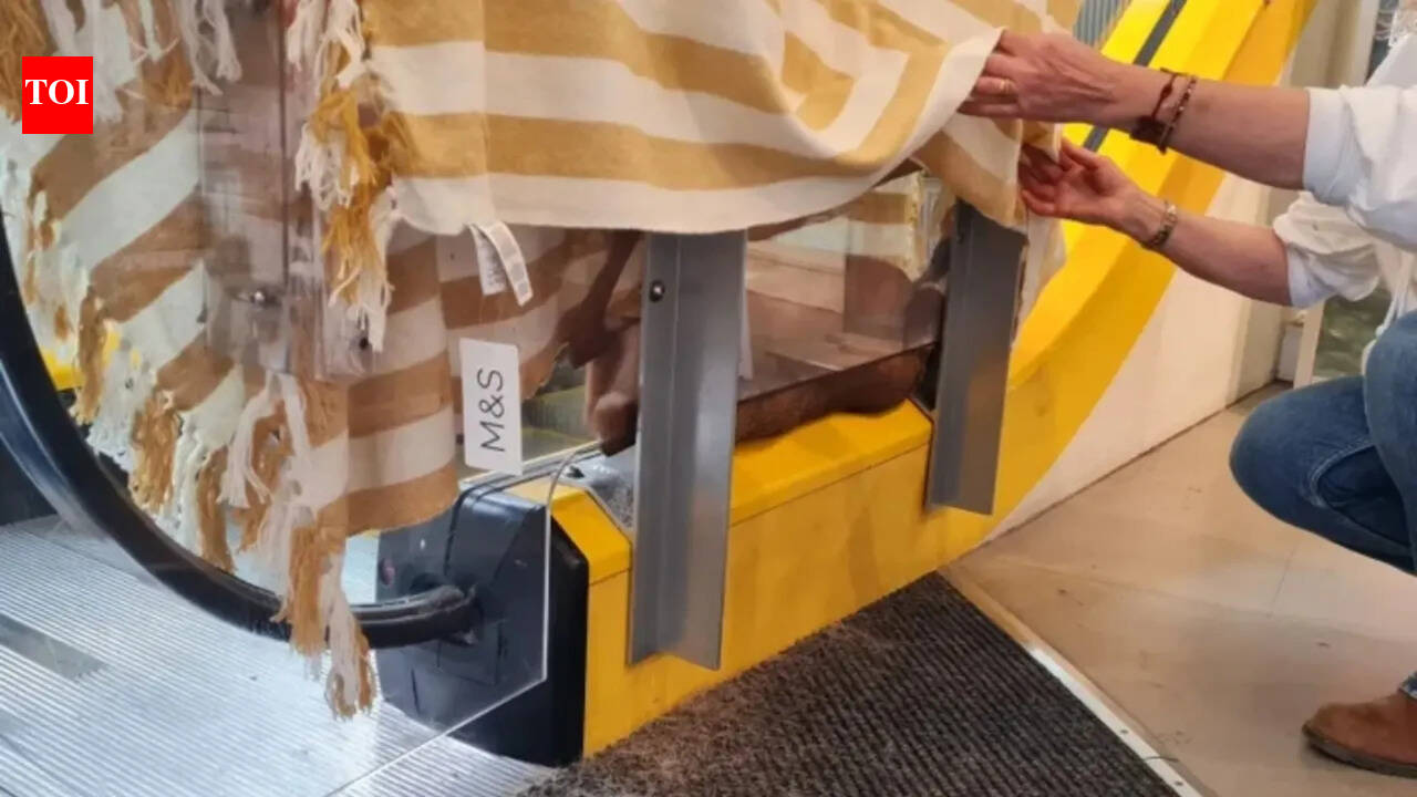 Oh Deer! Wild muntjac rescued after getting stuck on M&S escalator: Here’s what happened