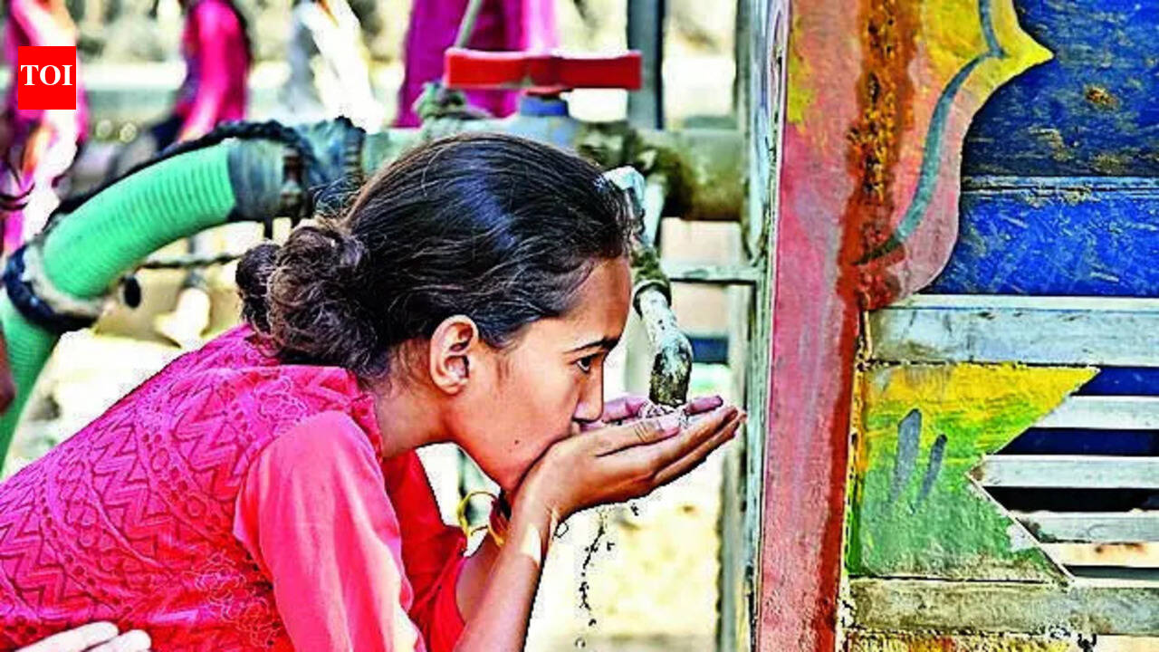 With rising temperatures, Jaipur is struggling with water shortage. jaipur news