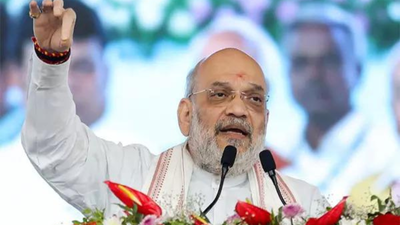 Government panel to investigate ‘demographic change’ india news