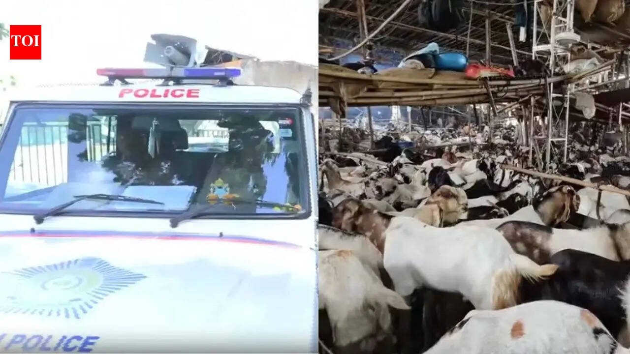 Goat Sacrifice: The ritual of goat sacrifice was stopped in Goregaon Society after the clash before Eid al-Adha. mumbai news