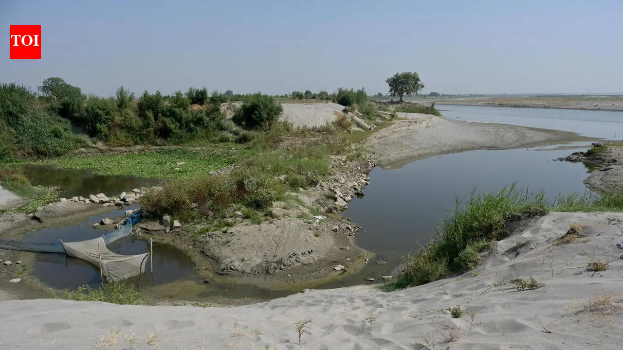Why Yamuna has now become a brown narrow stream. delhi news