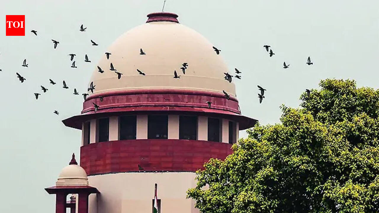 CBSE’s 3-language plan doesn’t attack federalism, but will study infrastructure bottlenecks: Supreme Court | india news