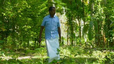 UN-awarded Tamil Nadu farmer turns coconut losses into profits through multi-crop, tree-based farming india news