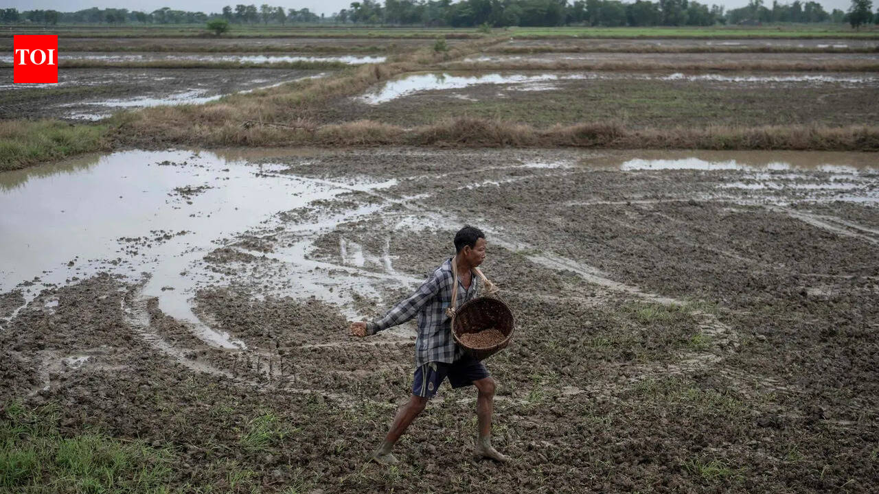Agriculture Ministry launches mobile app for online fertilizer booking to keep an eye on black marketing. pune news
