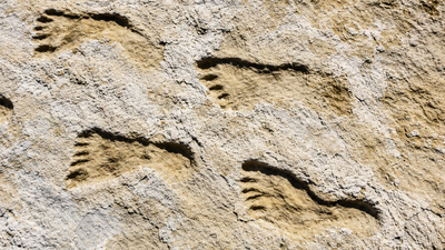 23,000-year-old footprints in New Mexico change what scientists previously believed about the first Americans World News