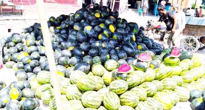 Watermelon is in demand as summer increases, but eating it with these fruits can also be good for health.