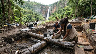 476,000-year-old wooden structure found at Kalambo Falls is changing human history. world News