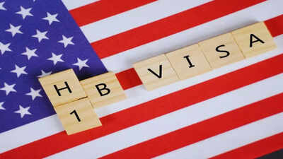 ’20 years on H-1B’: Big controversy over Indian man’s viral post about not being able to see his dying mother