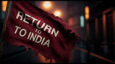 Redditor shares one year’s experience of living in India after spending 12 years in America