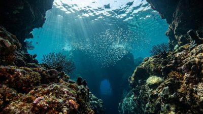 The deepest ocean trenches: The 5 deepest ocean trenches on Earth, ranked: Why a basin owns every single slot world News