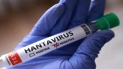 Hantavirus may have spread to remote island