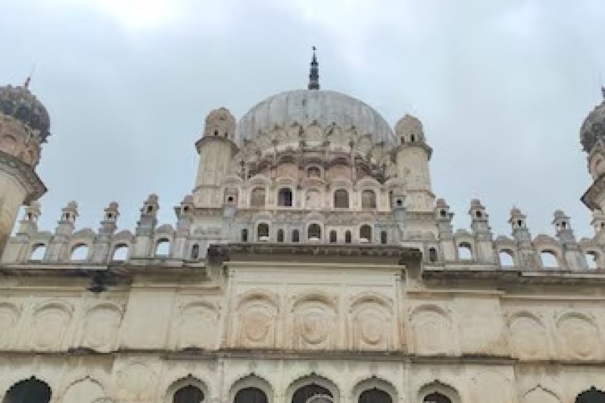 अयोध्या में दिखा ऑस्ट्रेलिया का अनोखा ‘एमू’, बहू बेगम मकबरे में बना आकर्षण का केंद्र