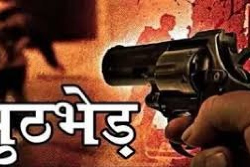 पुलिस मुठभेड़ में भैंस चोर गिरोह का भंडाफोड़, दो बदमाशों के पैर में लगी गोली, जानें क्या है पूरा मामला…