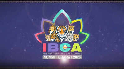 India calls for global participation in Big Cat Conservation Summit ahead of IBCA launch india news