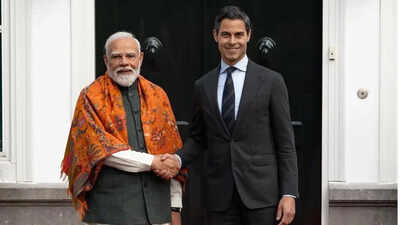 India, Netherlands form joint working group on clean energy